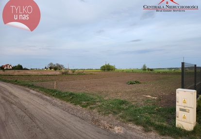 Dzialka w papowie toruńskim