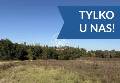 Prawie pół hektara szczutki - warunki zabudowy