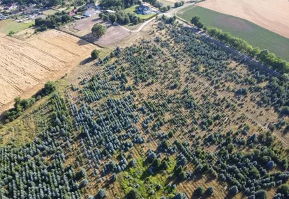 Działka na sprzedaż 1500m2