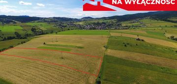 Działka w grywałdzie; 1,1003 ha; warunki zabudowy
