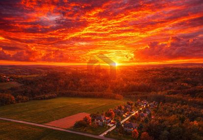 Najpiekiejsze działki pod lasem z wz!