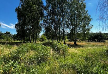 Kolonia łaznów,30 km od łodzi,1489 m2