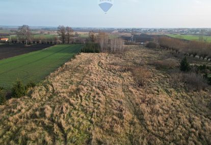 1 ha budowlano-usługowa działka, skowarcz