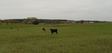 Działka budowlana 3335 m² – augustów