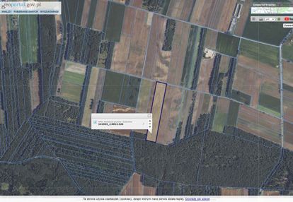 Pole uprawne, klasa bonitacji v i vi, las tuż obok