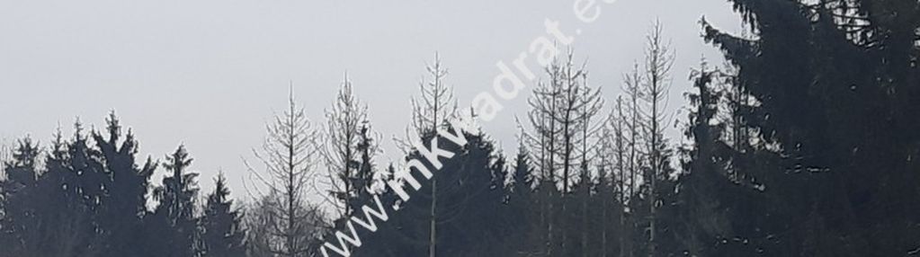 Nadarzyn duża działka 1mn w dobrej lokalizacji