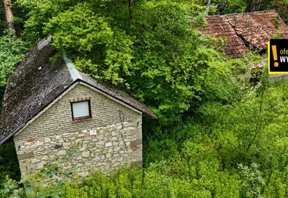 Siedlisko z własnym lasem i budynkami w górnowoli
