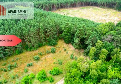 Cegielnik działka 1356m2 ze ścianą lasu