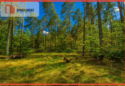 Objęta mpzp, w otoczeniu lasu.