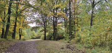 Działka przy lesie w sąsiedztwie zalewu