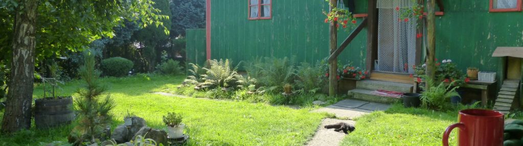 Działka wraz z domem  | kopaliny |