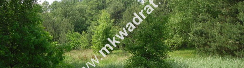 Piękna nieruchomość z możliwością podziału działu