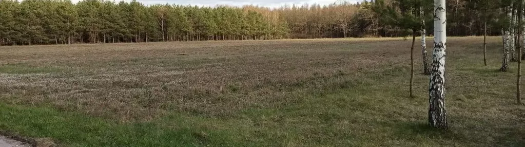 Działka na sprzedaż 3600m2