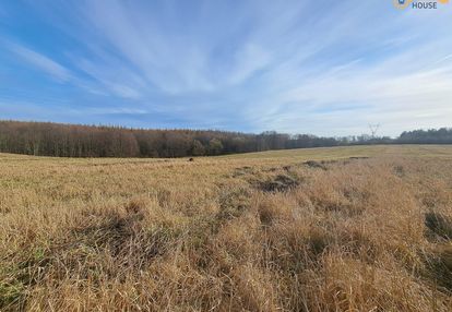Wyjątkowy teren 3,85 ha | trąbki małe