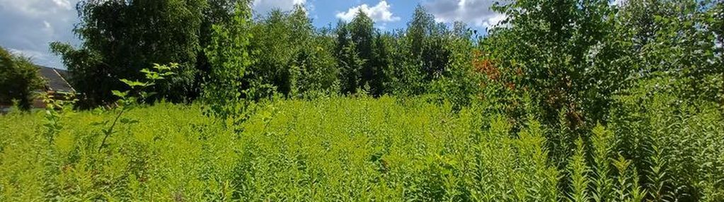 Działka budowlana w rożnowie 7ar