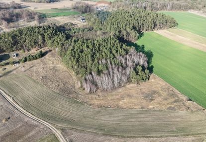 Działka budowlana wz las jeziora pniewy psarce