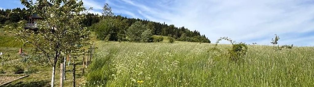 Działka budowlana 15ar *przyszowa beskid wyspowy*