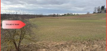 Działki z potencjałem  - liniewskie góry