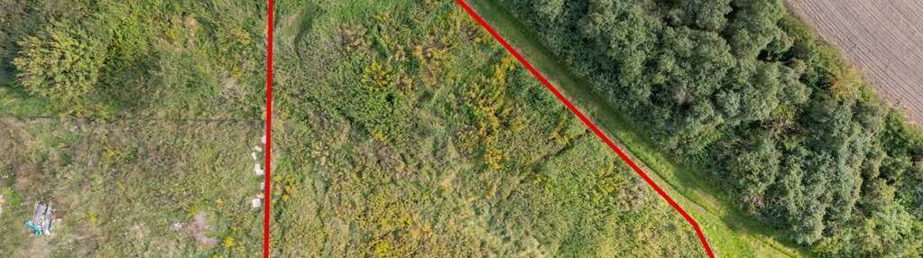 Działka budowlana koło poznania, jezioro i las