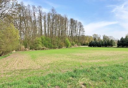 Działka przy stawie raków