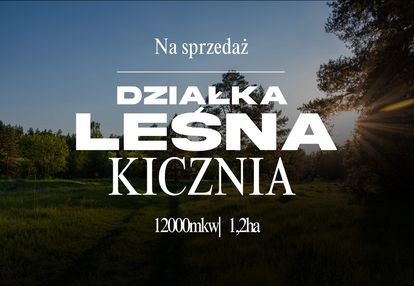 Las bukowy w kiczni 1,2 ha