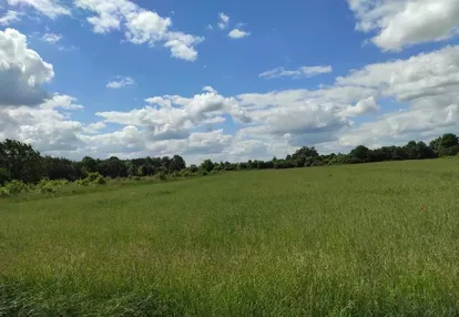 Działka na sprzedaż 3000m2