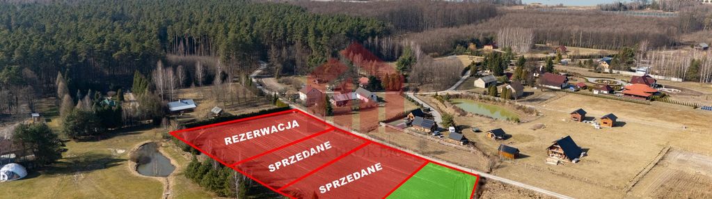 Działki budowlane w enklawie lasu w krzywej