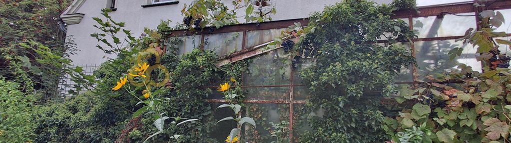 Duży dom w sieniawie żarskiej koło żar.