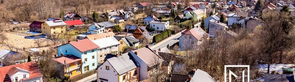 Bliźniak w jeleśni