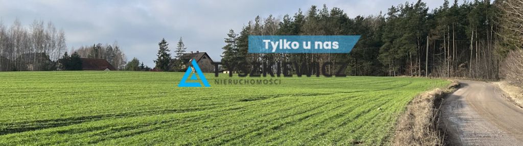 Działka bud. przy ścianie lasu w wielkim kliczu