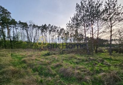 Duża działka z mpzp przy ścianie lasu i szkole