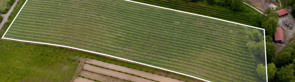 Każda historia ma swój początek