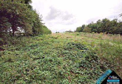 Działka zabudowana plus druga zalesiona w cenie