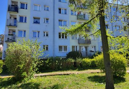 Mieszkanie 2 pok w oliwie na parterze