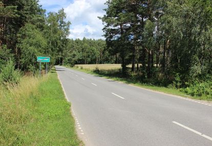 Ełganowo i trąbki wielkie - działka 8900m2