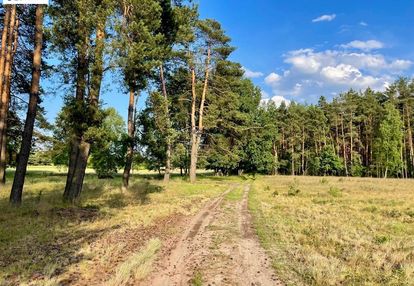 Olbrzymia działka w lesie z prawem zabudowy!