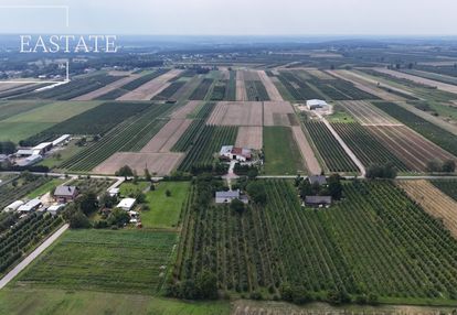 Działka rolna 9000m2 wraz z domem