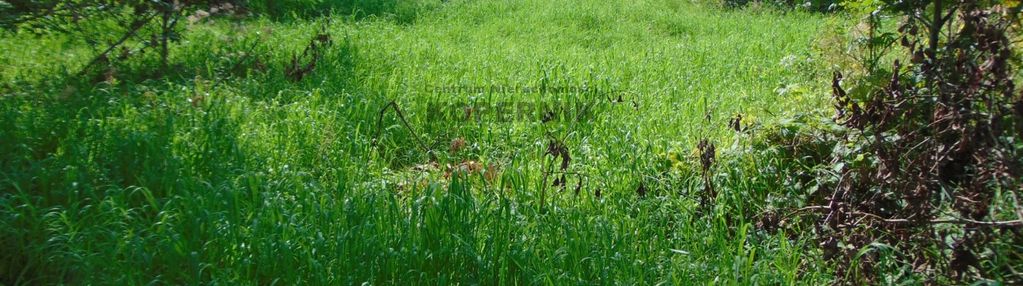 Działka budowlana papowo osieki ul leśna