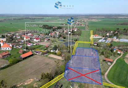 Cisza i przestrzeń – słonecznik, gmina morąg