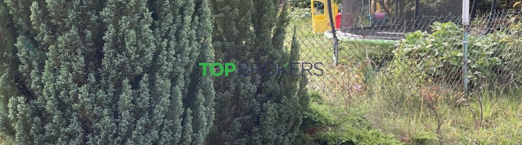 Zadbana działka rod z całorocznym domkiem