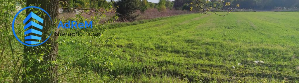 Siedlisko prażmów 2,7 ha