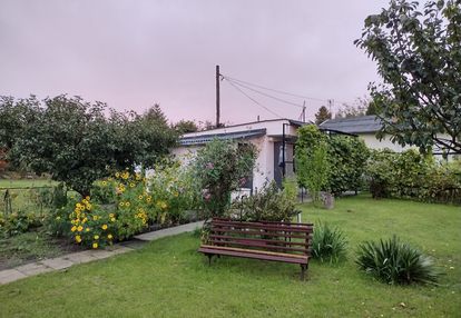 Działka ROD z domkiem 2025 – Aleksandrów Kujawski