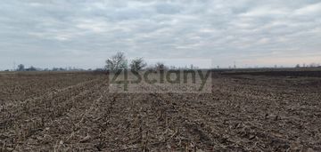 Działka zmeliorowana w zaborówku