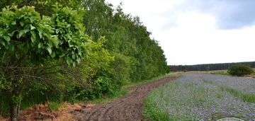 Grunty na sprzedaż w dobrej lokalizacji