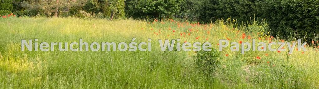 Działka budowalana szczepankowo 800m2