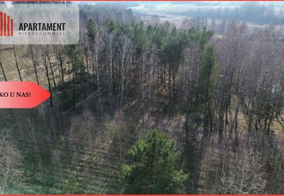 Tylko u nas! zalesiona działka budowlana w borach
