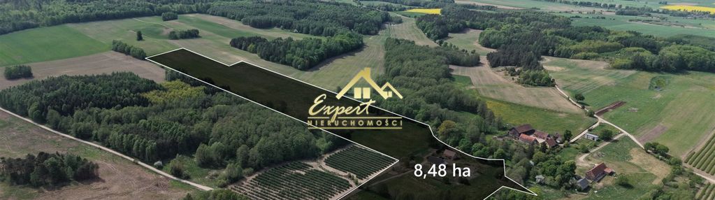 Siedlisko 8,48 ha z domem i oborą
