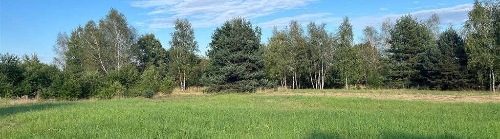 Ładna, widokowa działka rybnik radziejów