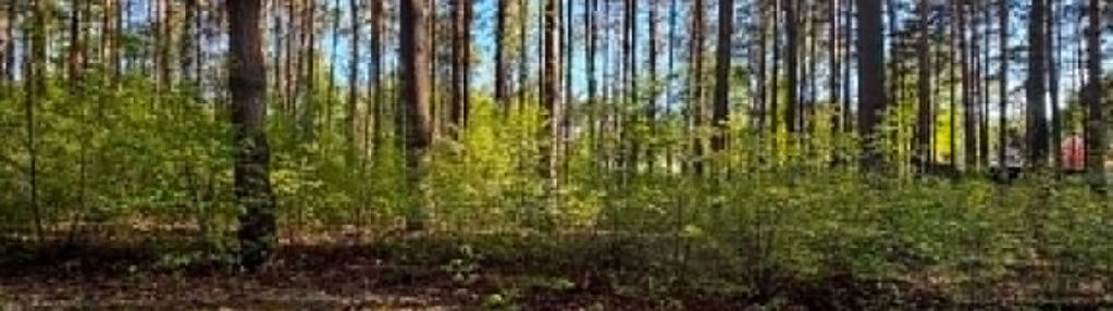Działka w spokojnej okolicy, szerominek- płońsk.