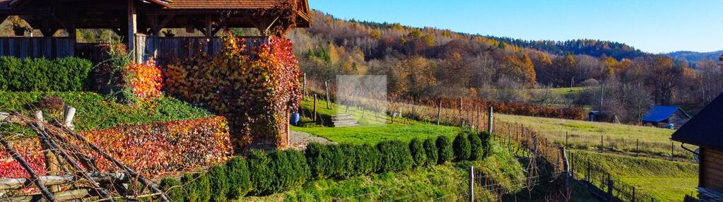 Klimatyczna winnica na pograniczu bieszczad